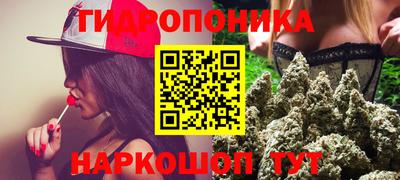 спиды Новозыбков